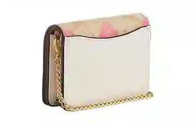 COACH Mini Wallet 10 pvc