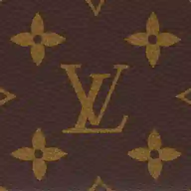 LOUIS VUITTON CLMENCE