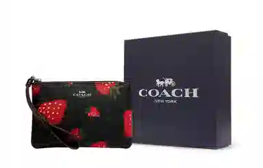 COACH Corner Zip 16