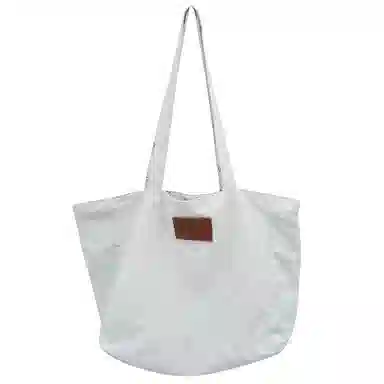 醇龙 简约百搭时尚 帆布 帆布包单肩包 女款 白/浅蓝