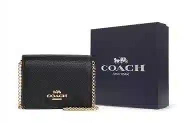 COACH Chain Wallet