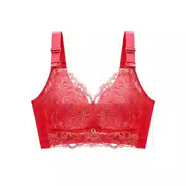 欧迪芬 上托聚拢小胸显大侧收美背透气舒适无钢圈蕾丝文胸 女款