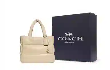 COACH Pillow 37 Ivory