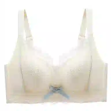 芬腾 女士内衣无钢圈聚拢大小胸可穿调整型防下垂上托收副乳性感文胸 女款