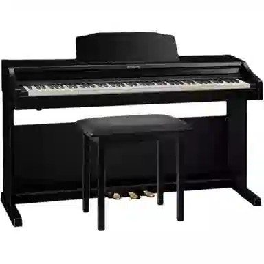 Roland () RP501R