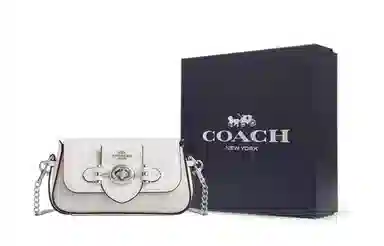 COACH Brie Mini 15