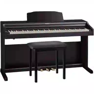 Roland () RP501R