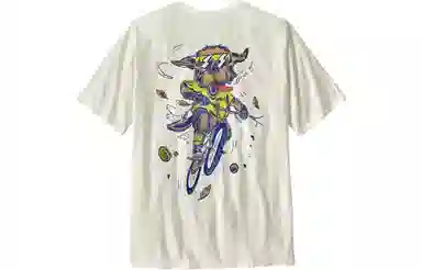 patagonia T