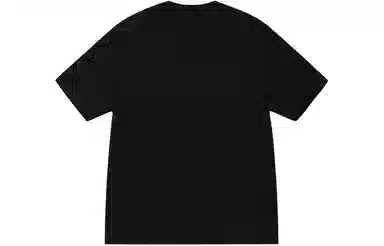 Stussy SS24 FUELED TEE T