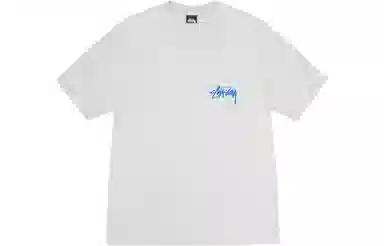 Stussy SS24 T