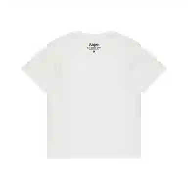 Aape T