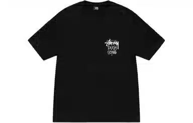 Stussy SS24 logoT