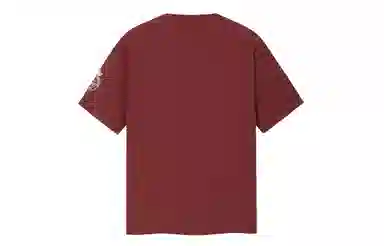 ICONS Lab T