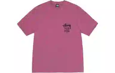 Stussy SS24 logoT