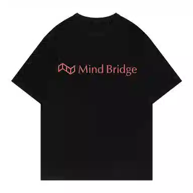 MindBridge T