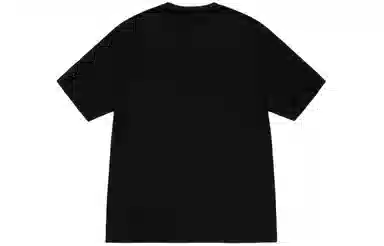Stussy SS24T