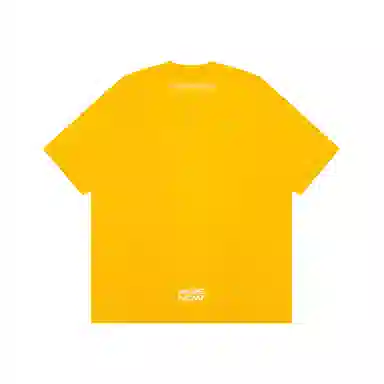 Aape T