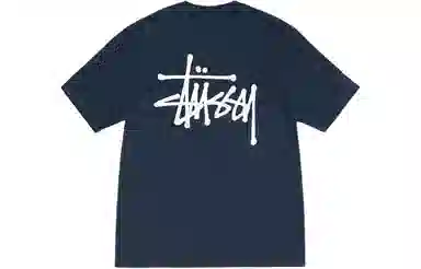 Stussy Ribbed Lettering T-Shirt