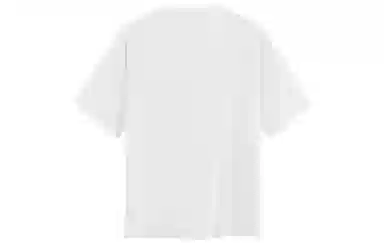 ICONS Lab T