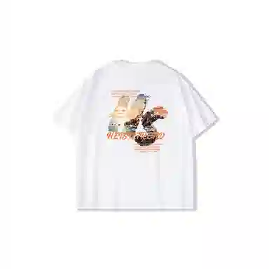 HEISU T