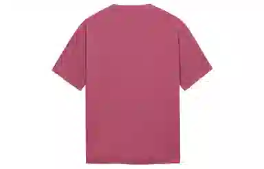 ICONS Lab T