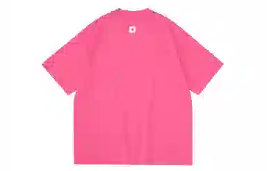 PCLP T