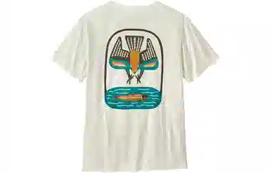 patagonia T