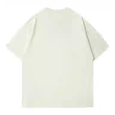 IE T