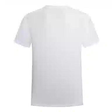 NORTHLAND PROFESSIONAL T