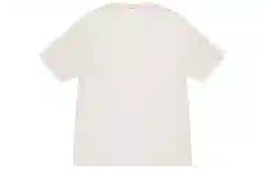 Stussy SS24T