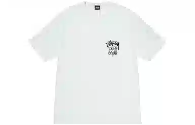 Stussy SS24 logoT