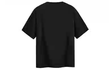 ICONS Lab T