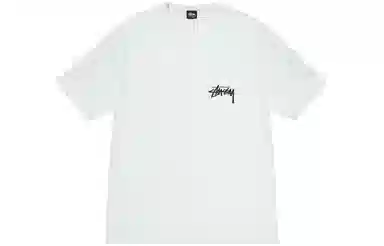 Stussy SS24 T