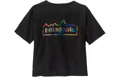 patagonia T