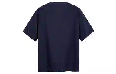 ICONS Lab T