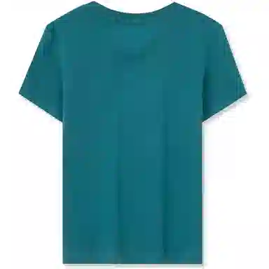 Tommy Hilfiger logo T