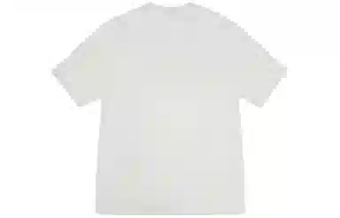 Stussy SS24 T