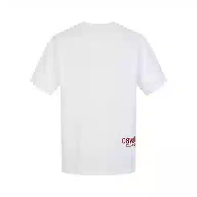 Cavalli Class T