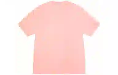 Stussy SS24T