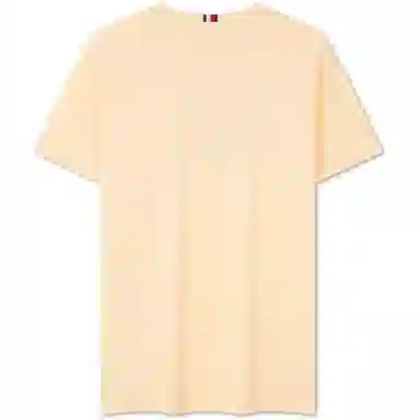 Tommy Hilfiger T