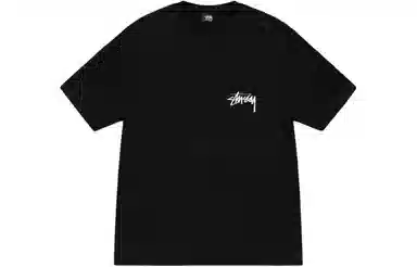 Stussy SS24 T