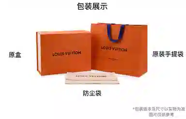 LOUIS VUITTON Logo Monogram Surfin