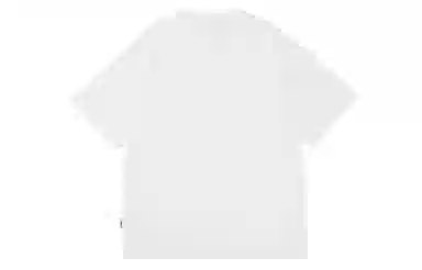 PCLP T