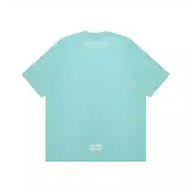 Aape T