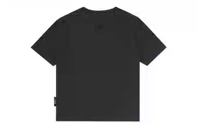 PCLP T
