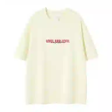 LEVEL T