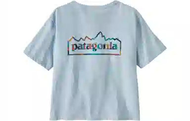 patagonia T
