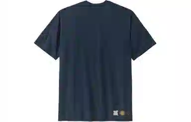patagonia T