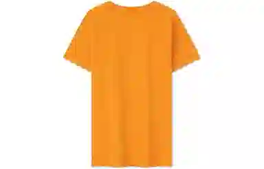 Tommy Hilfiger logo T