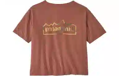 patagonia T